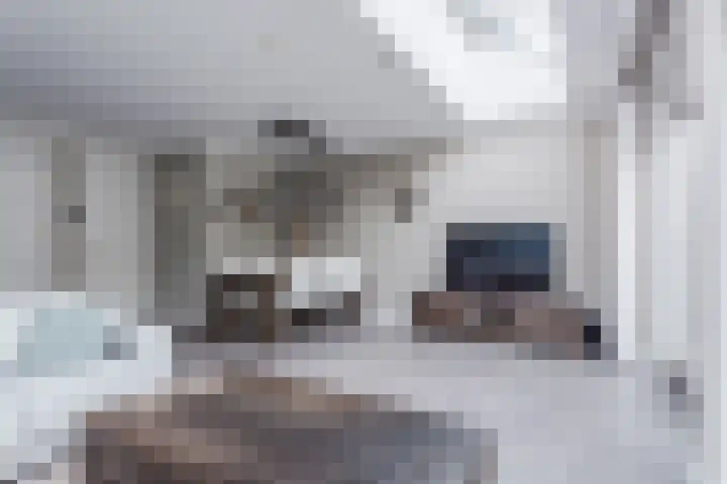 Leeuwerik 9 Mierlo thumbnail 15