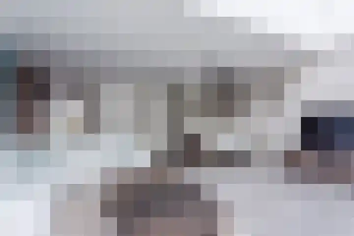 Leeuwerik 9 Mierlo thumbnail 16
