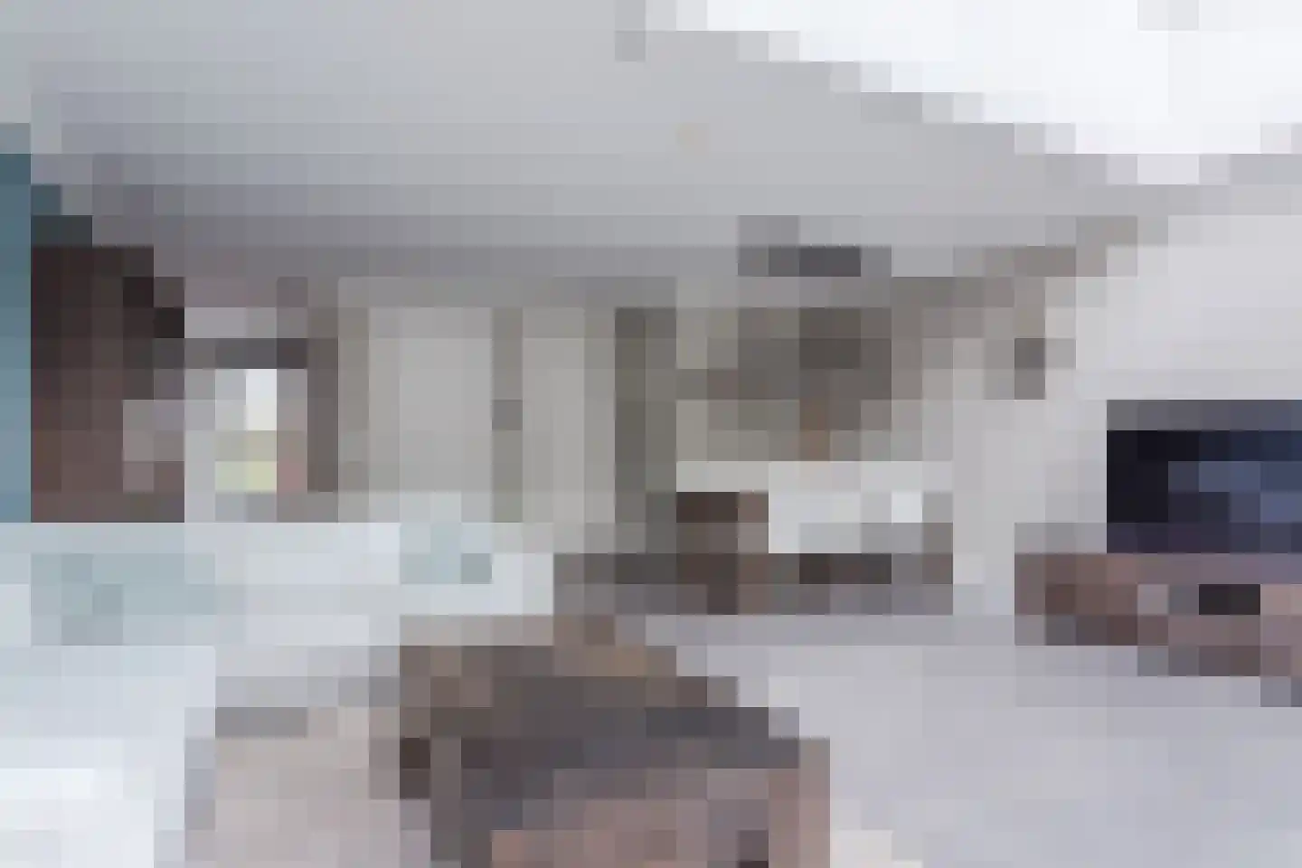 Leeuwerik 9 Mierlo thumbnail 17