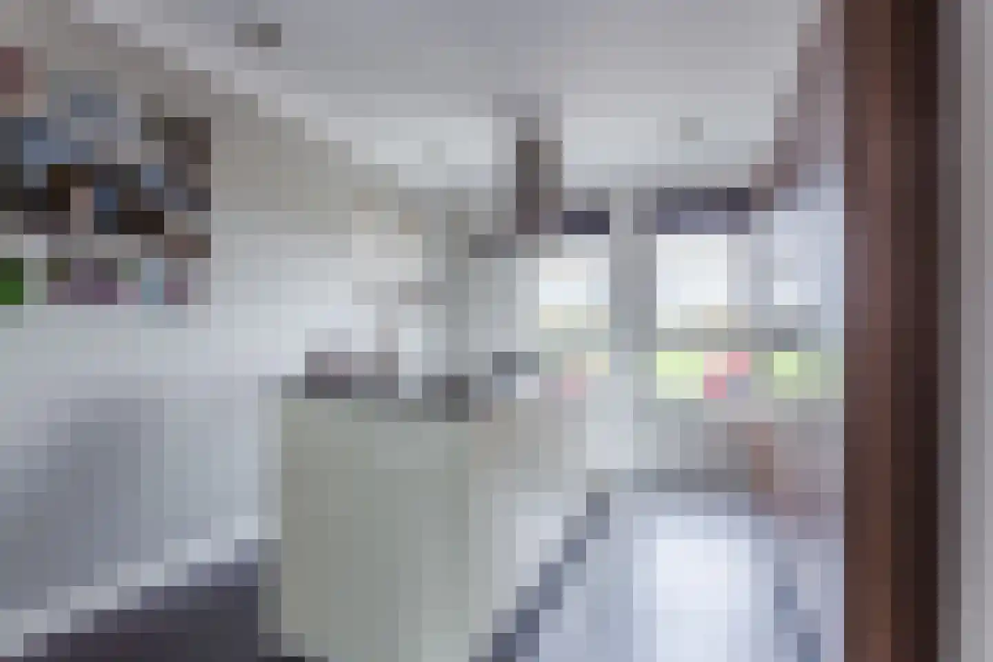 Leeuwerik 9 Mierlo thumbnail 18