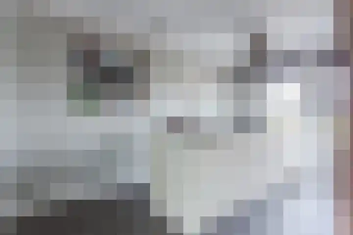 Leeuwerik 9 Mierlo thumbnail 18