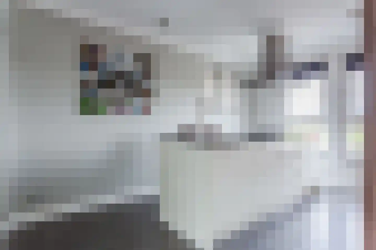 Leeuwerik 9 Mierlo thumbnail 19