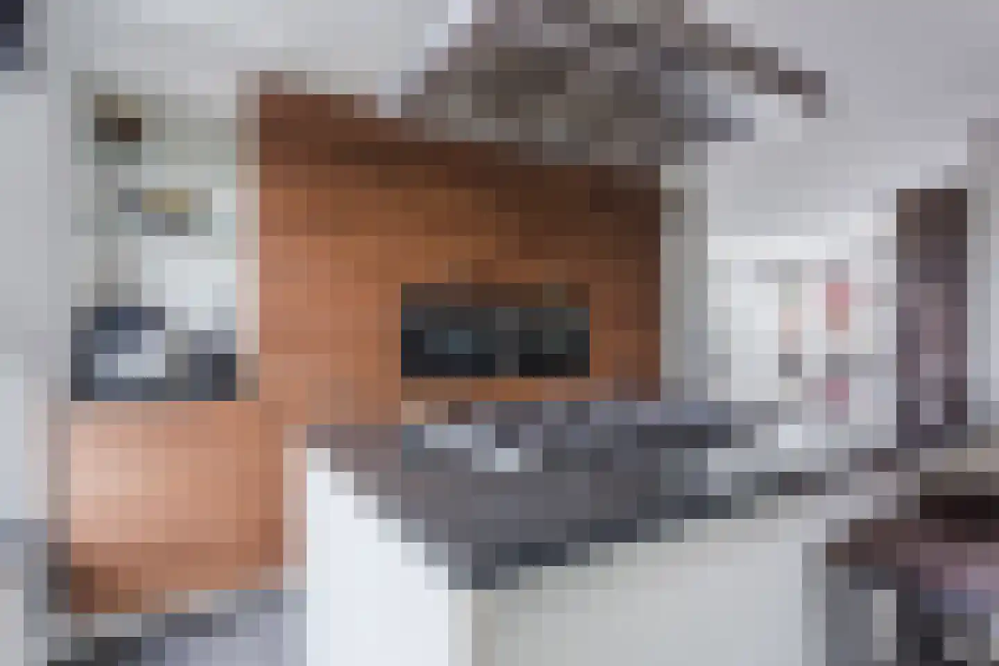 Leeuwerik 9 Mierlo thumbnail 22
