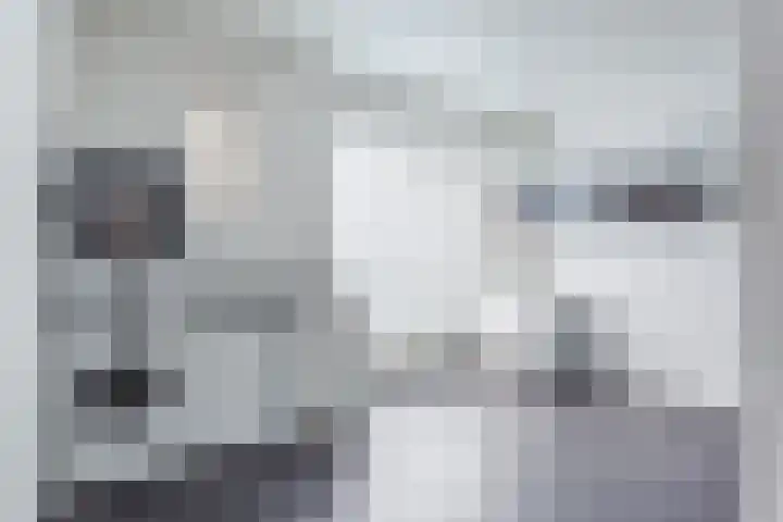 Leeuwerik 9 Mierlo thumbnail 23