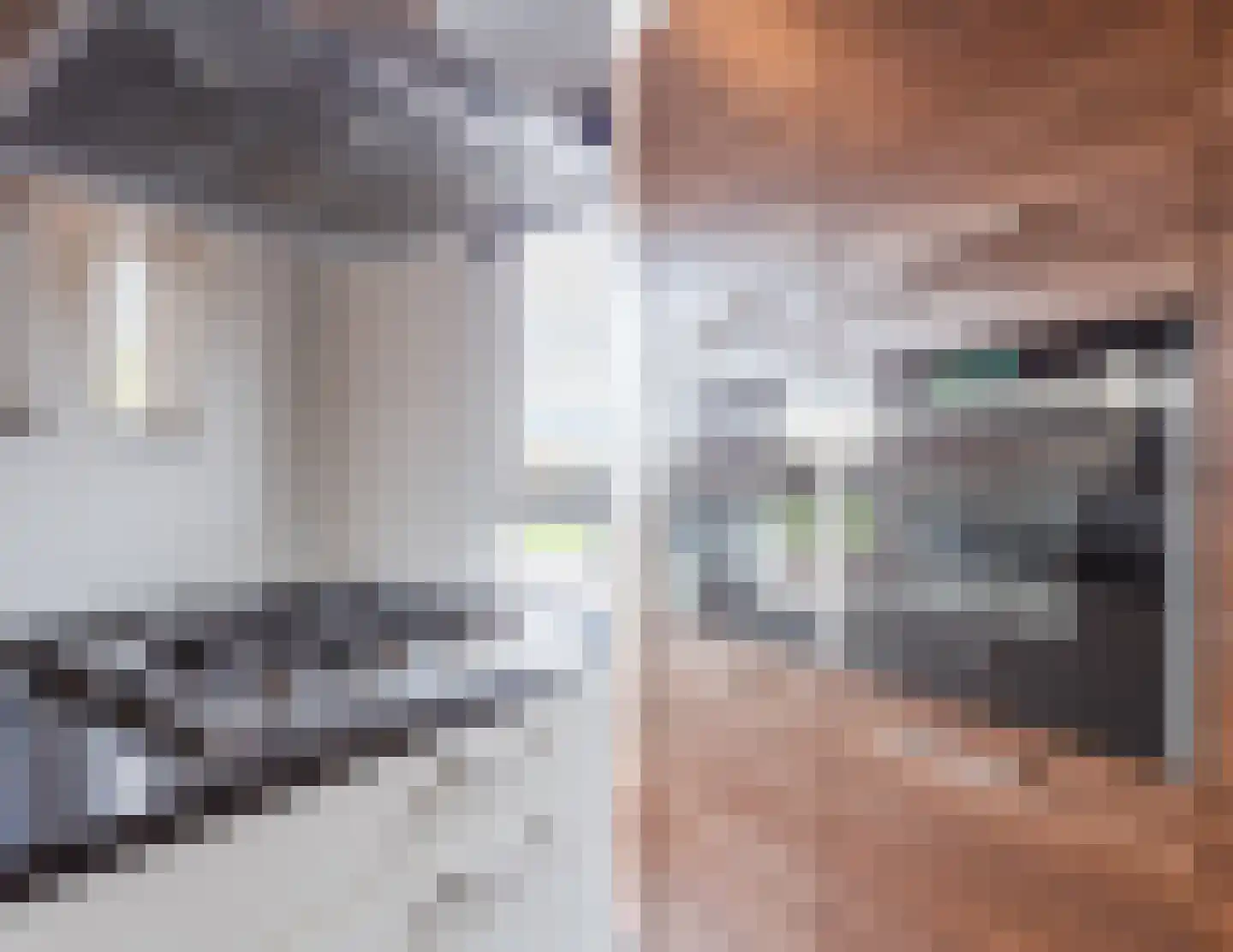 Leeuwerik 9 Mierlo thumbnail 23