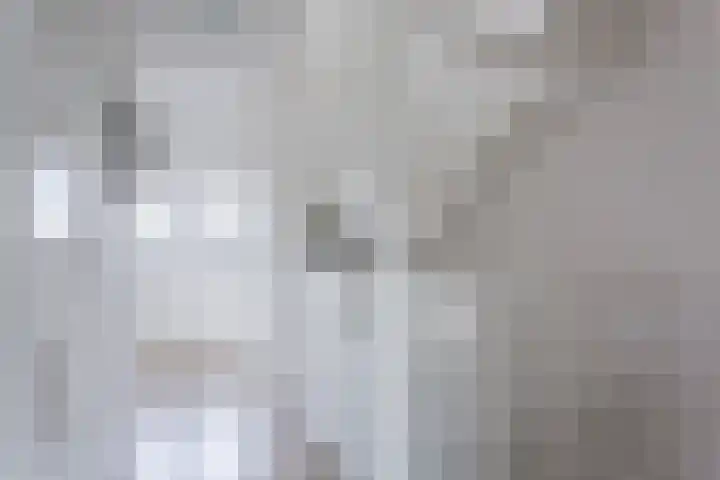 Leeuwerik 9 Mierlo thumbnail 28