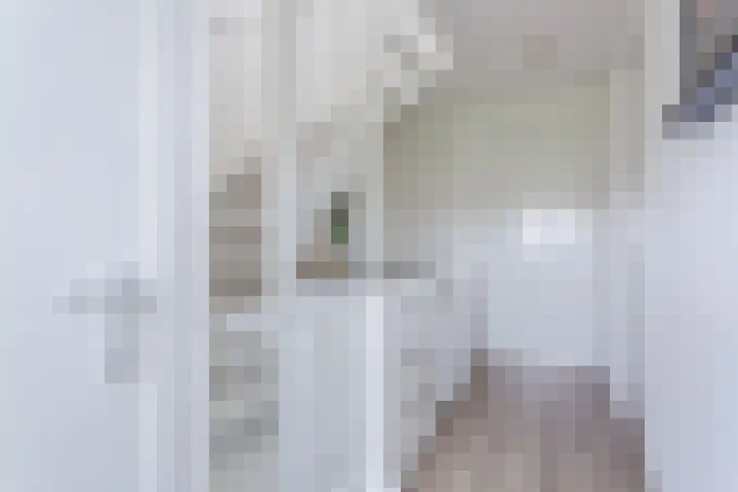 Leeuwerik 9 Mierlo thumbnail 30