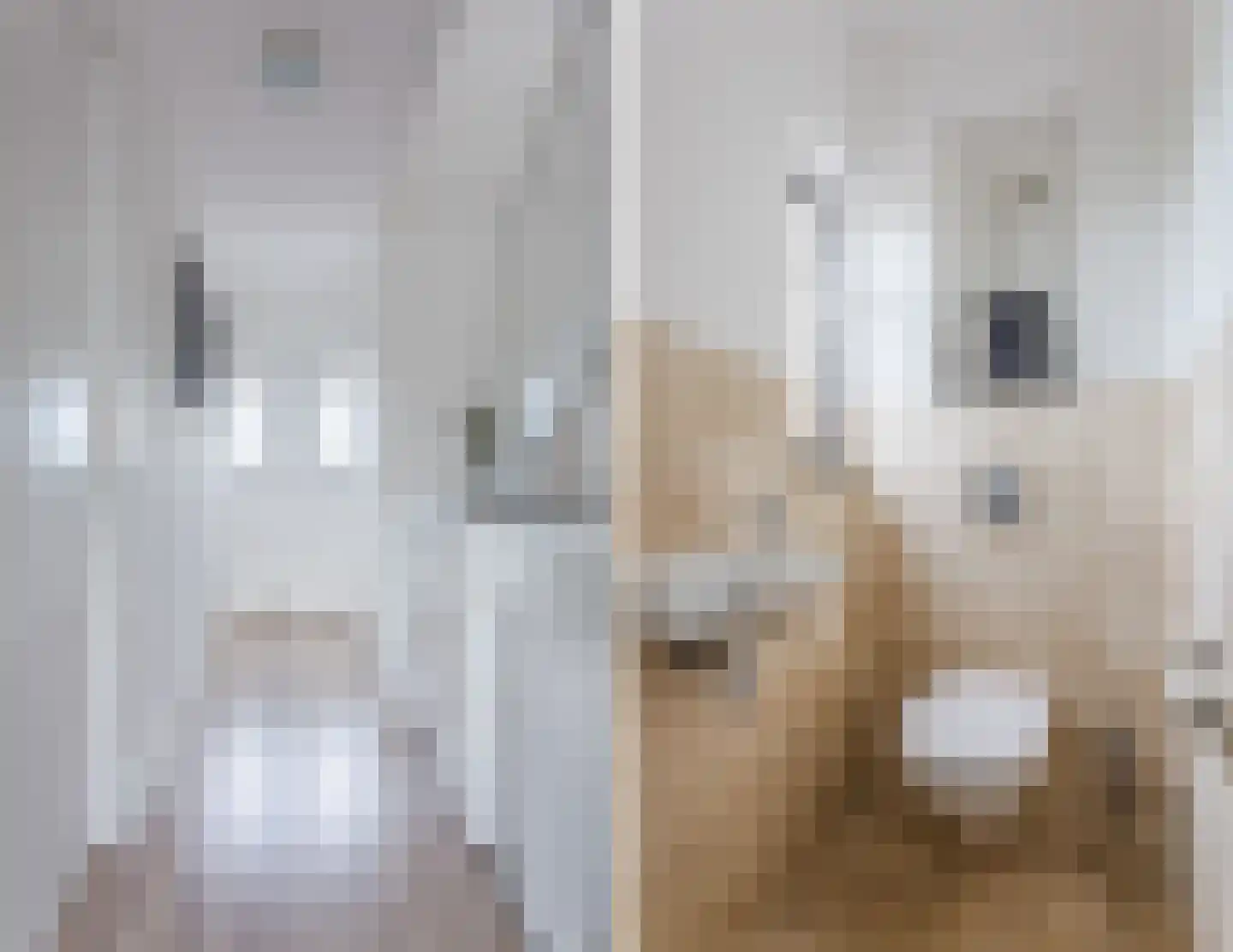 Leeuwerik 9 Mierlo thumbnail 31