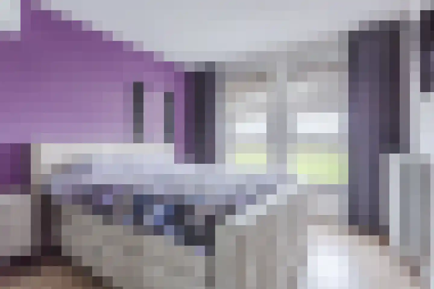 Leeuwerik 9 Mierlo thumbnail 33