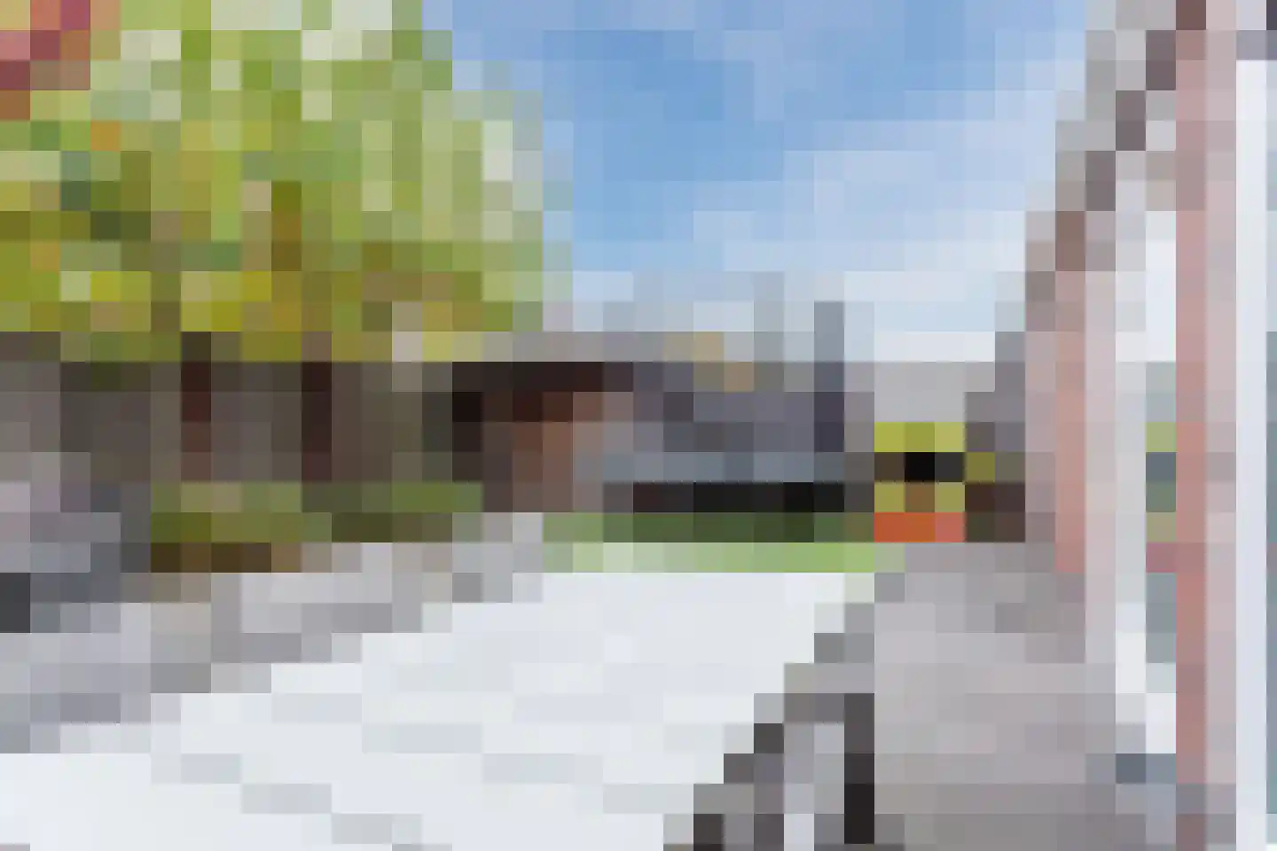 Leeuwerik 9 Mierlo thumbnail 44