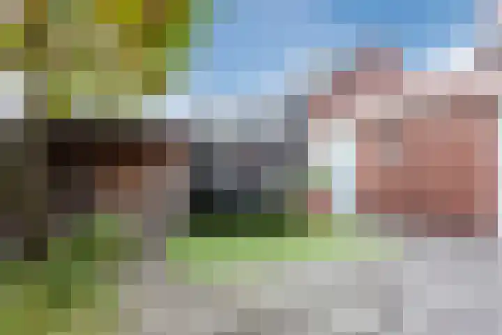 Leeuwerik 9 Mierlo thumbnail 46