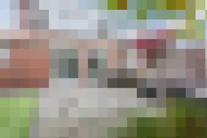 Leeuwerik 9 Mierlo thumbnail 47