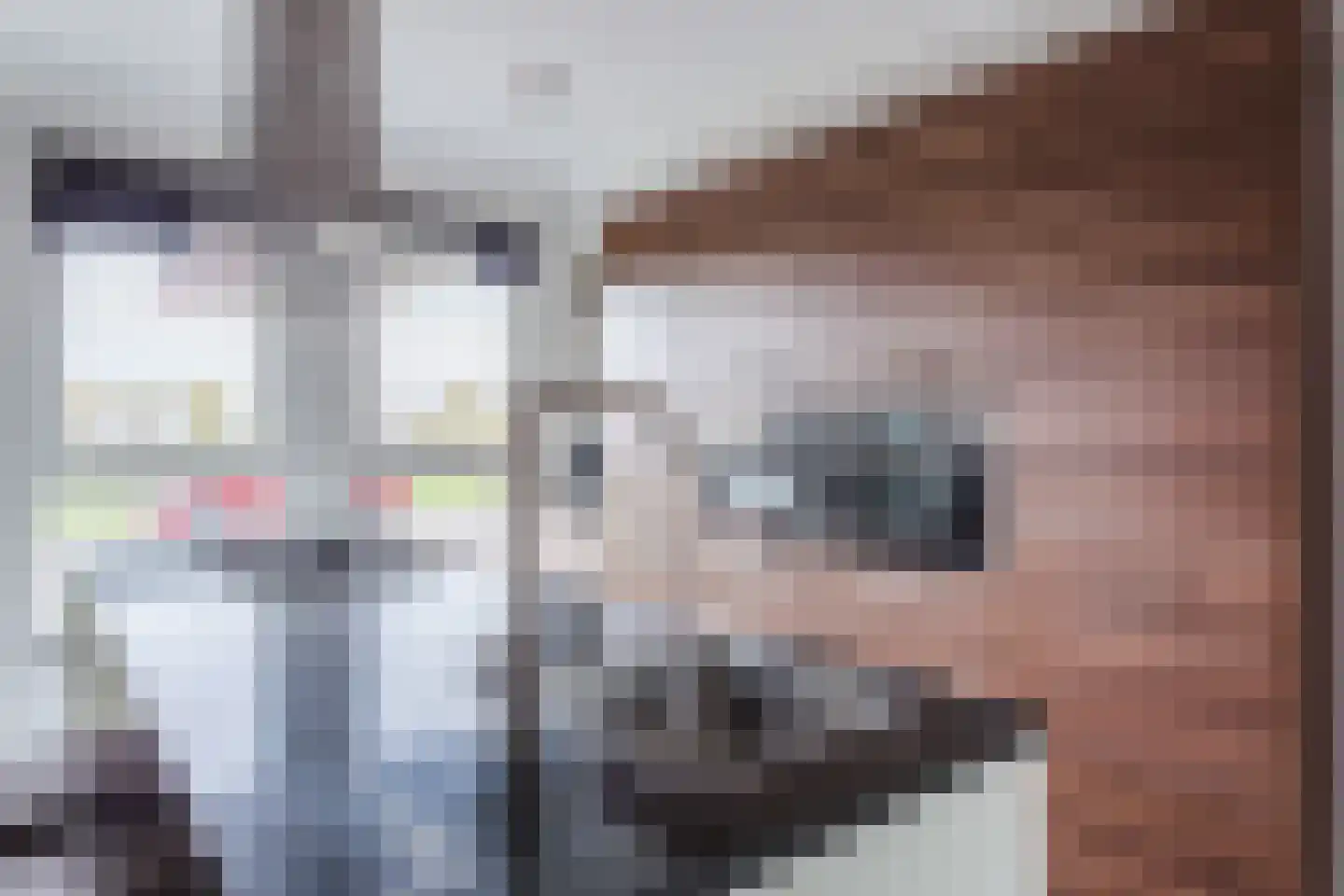 Leeuwerik 9 Mierlo thumbnail 5