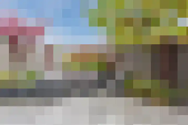 Leeuwerik 9 Mierlo thumbnail 50