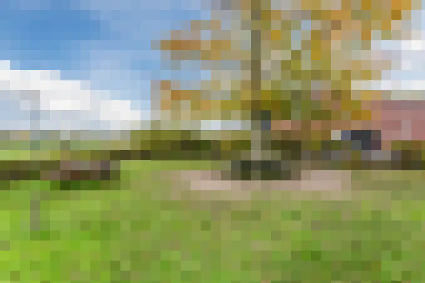 Leeuwerik 9 Mierlo thumbnail 55