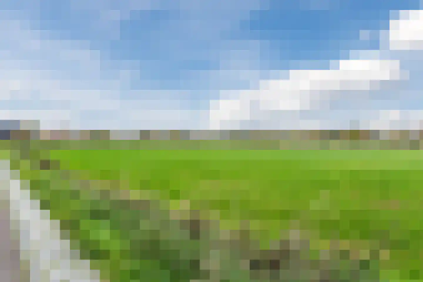 Leeuwerik 9 Mierlo thumbnail 56