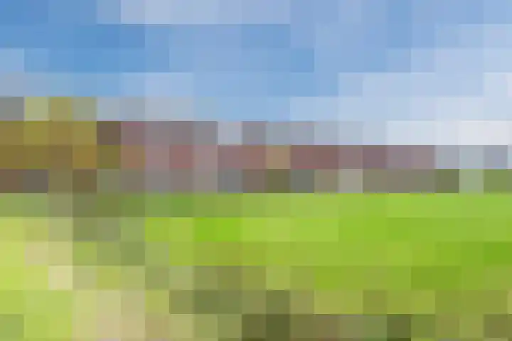 Leeuwerik 9 Mierlo thumbnail 6