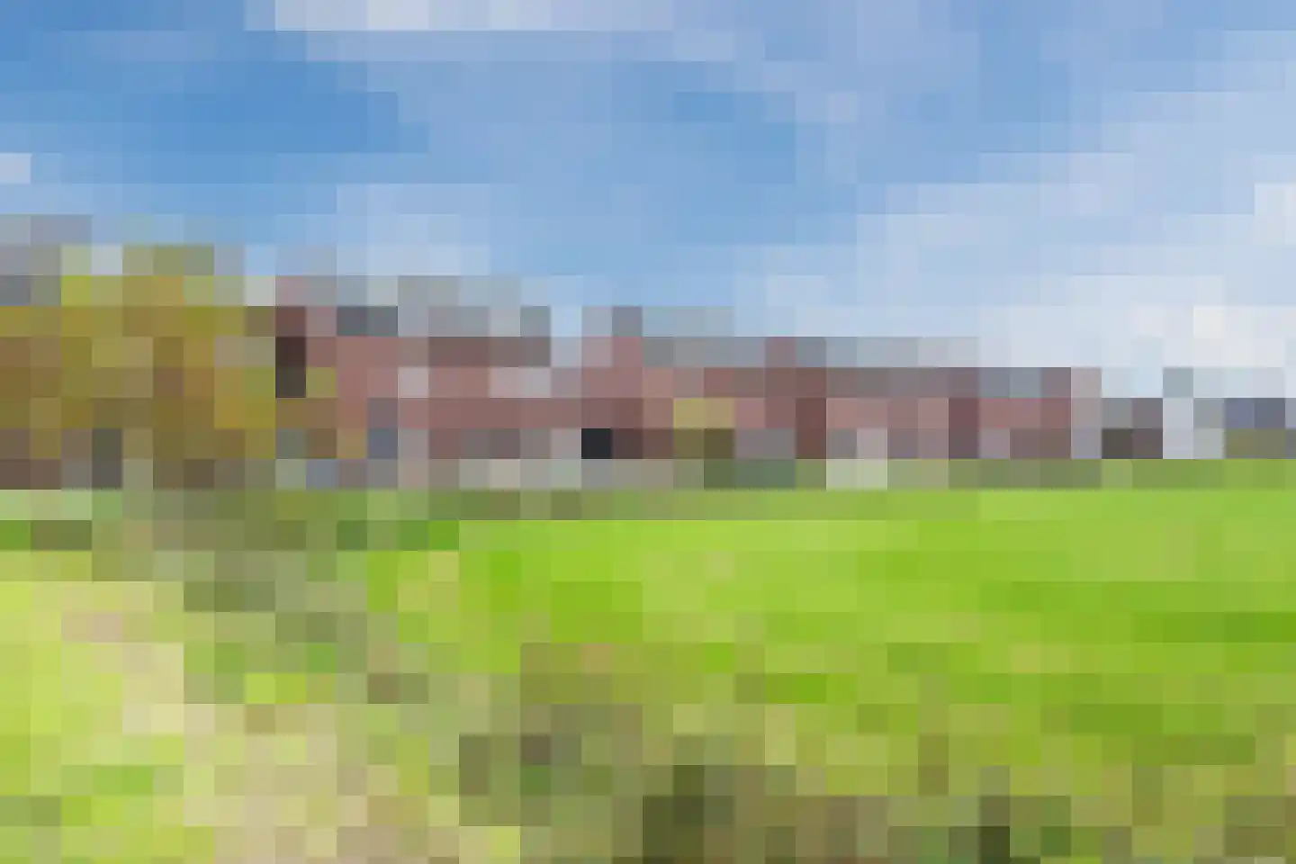 Leeuwerik 9 Mierlo thumbnail 7
