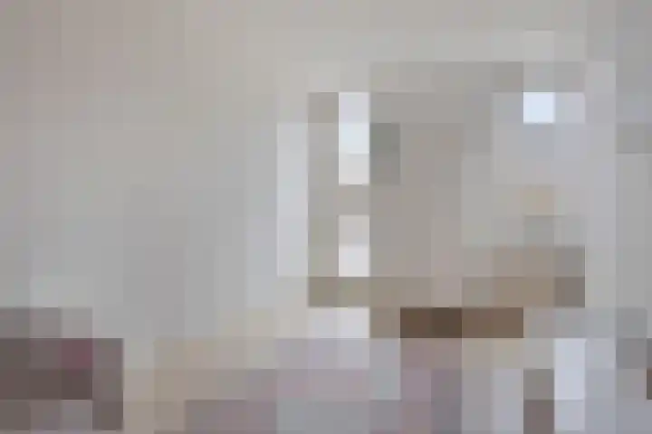 Leeuwerikborch 9 Rosmalen thumbnail 12