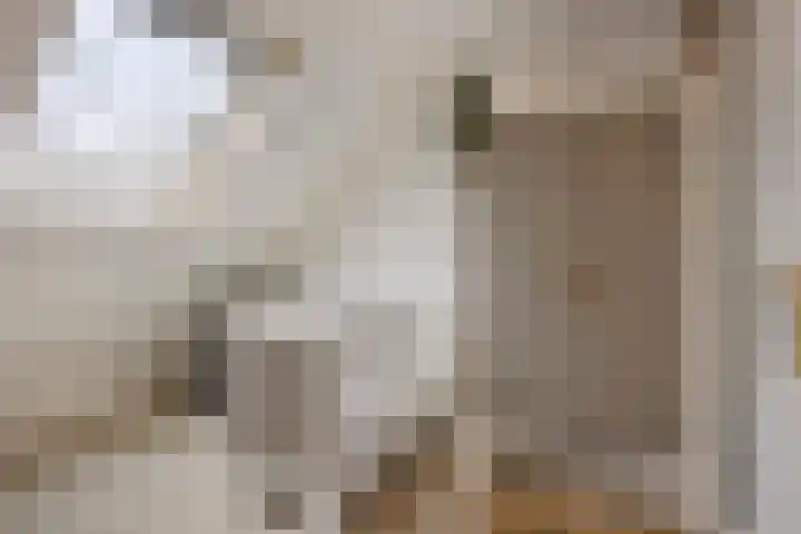 Leeuwerikborch 9 Rosmalen thumbnail 14