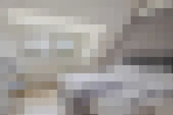 Leeuwerikborch 9 Rosmalen thumbnail 23