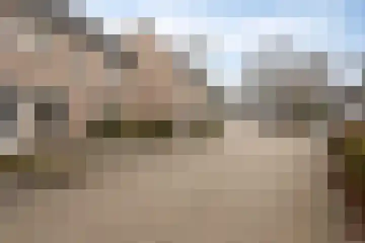 Leeuwerikborch 9 Rosmalen thumbnail 29