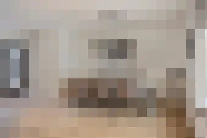 Leeuwerikborch 9 Rosmalen thumbnail 6