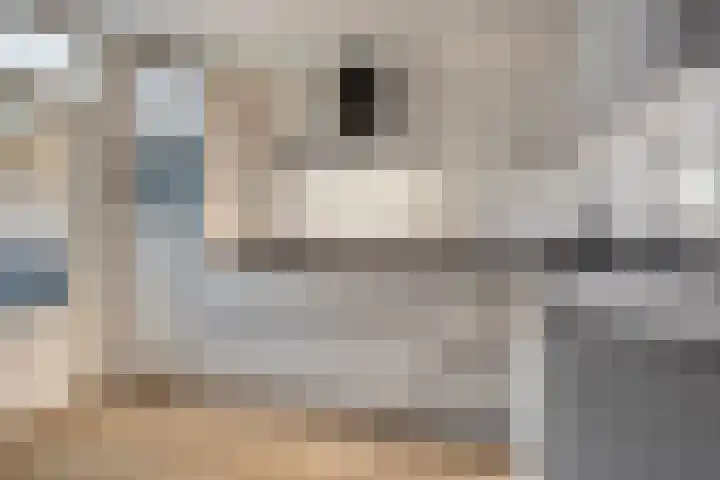 Leeuwerikborch 9 Rosmalen thumbnail 7