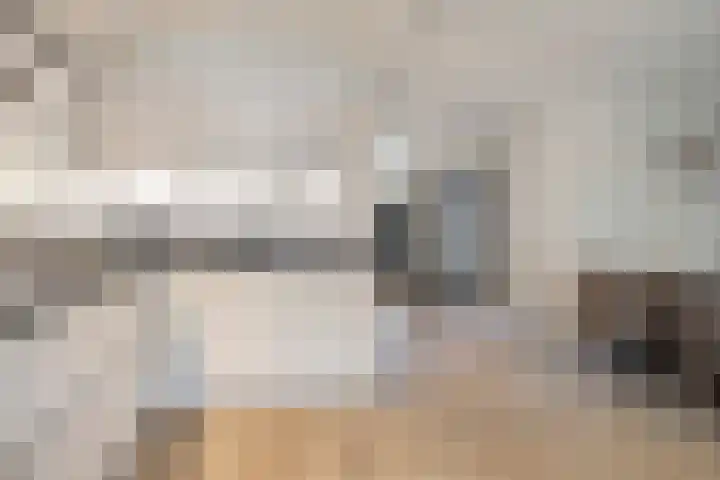 Leeuwerikborch 9 Rosmalen thumbnail 8