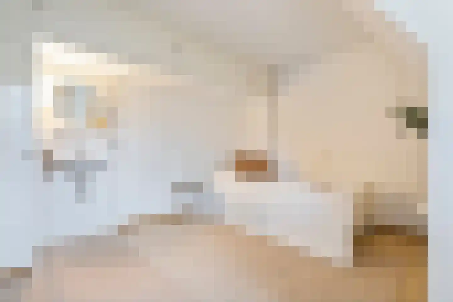 Leeuwerikenlaan 1 Aerdenhout thumbnail 22
