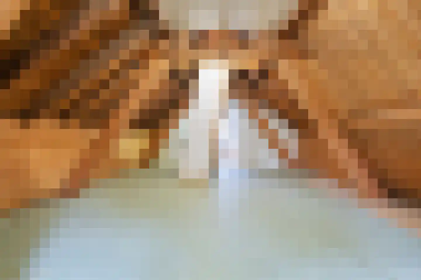 Leeuwerikenlaan 1 Aerdenhout thumbnail 32