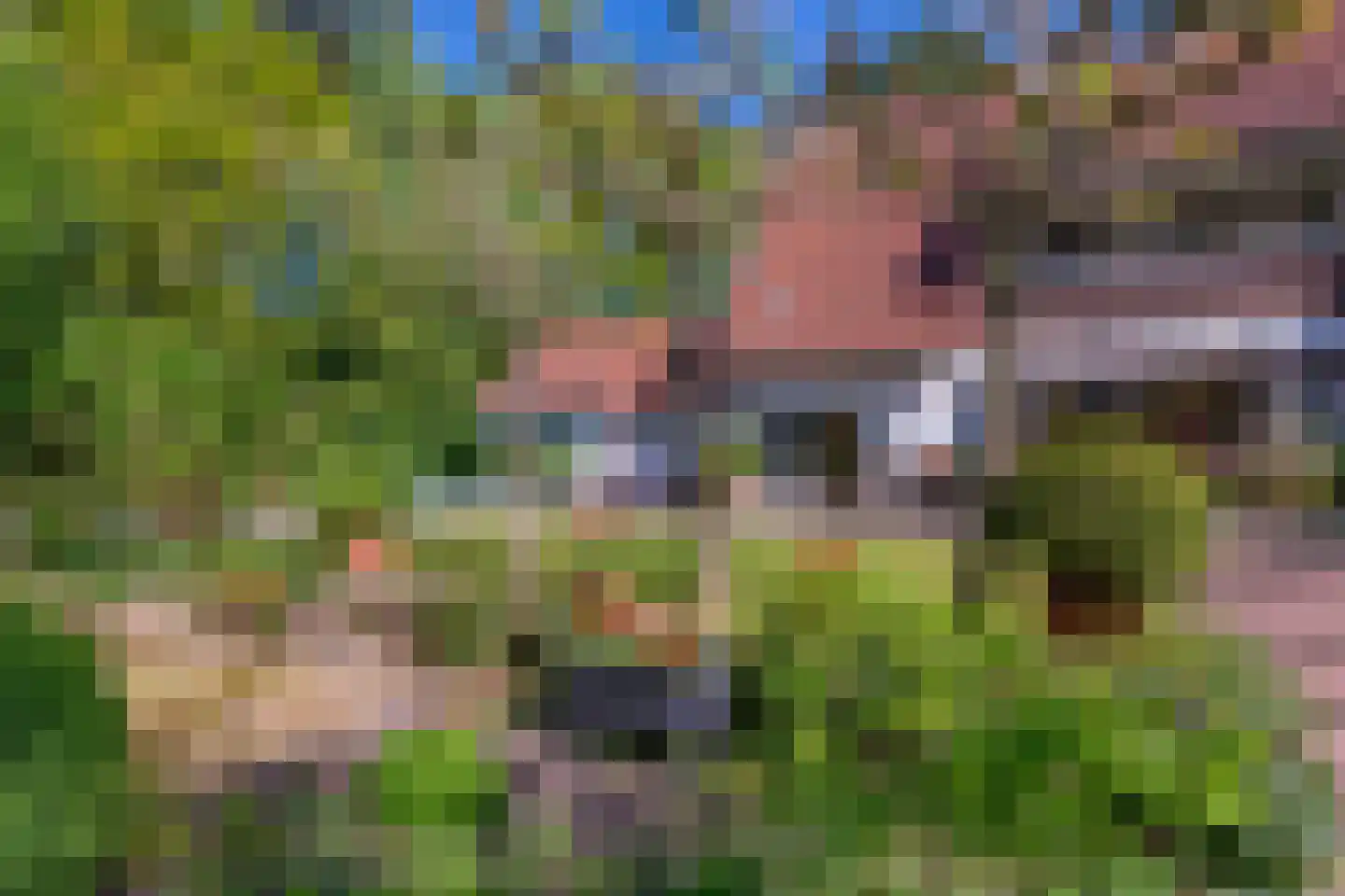 Leeuwerikenlaan 1 Aerdenhout thumbnail 35