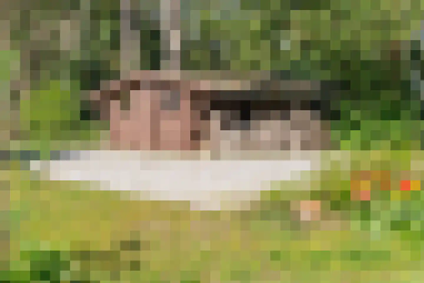 Leeuwerikenlaan 1 Aerdenhout thumbnail 38
