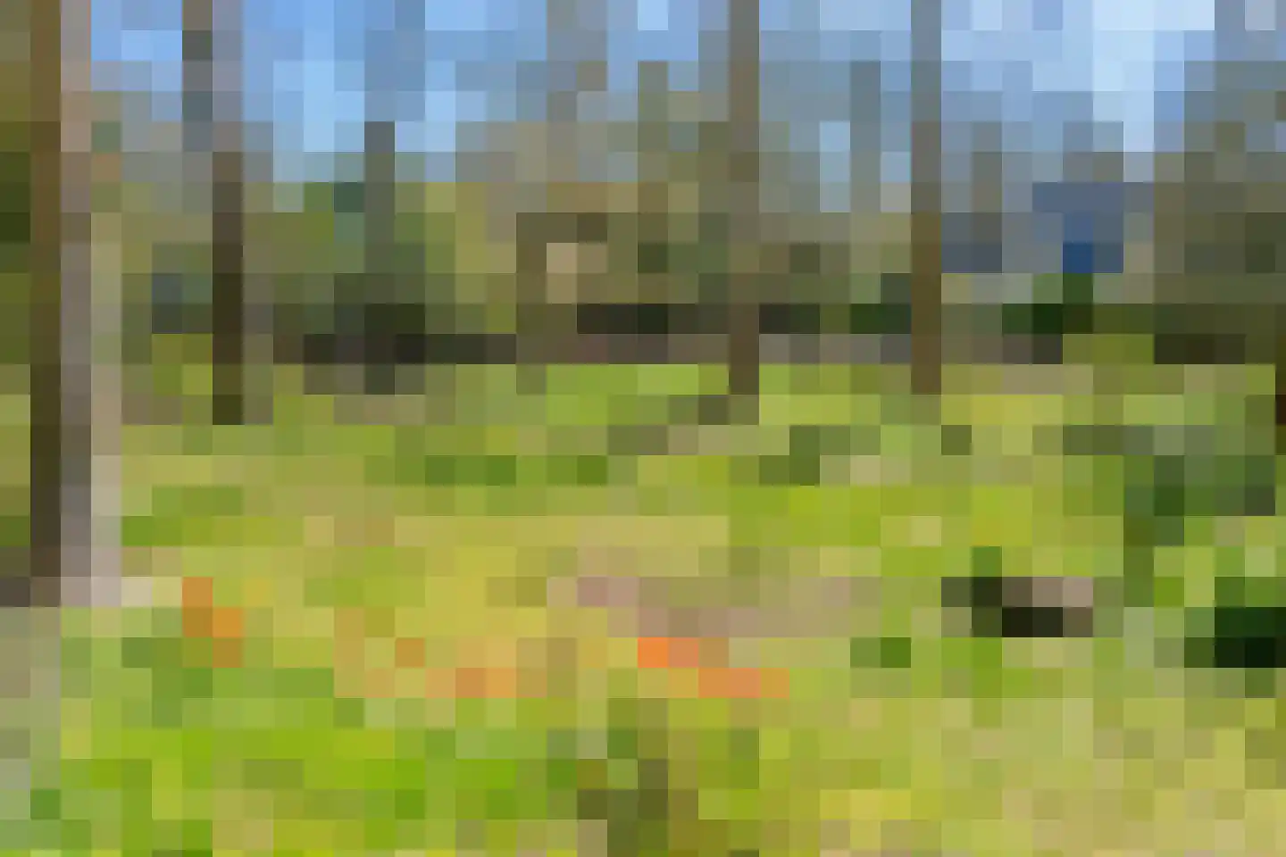 Leeuwerikenlaan 1 Aerdenhout thumbnail 39