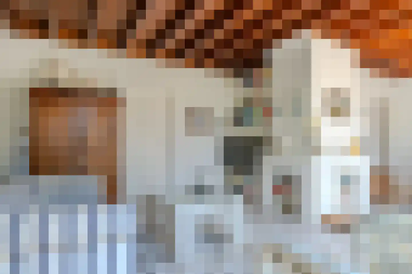 Leeuwerikenlaan 14 Kamperland thumbnail 10