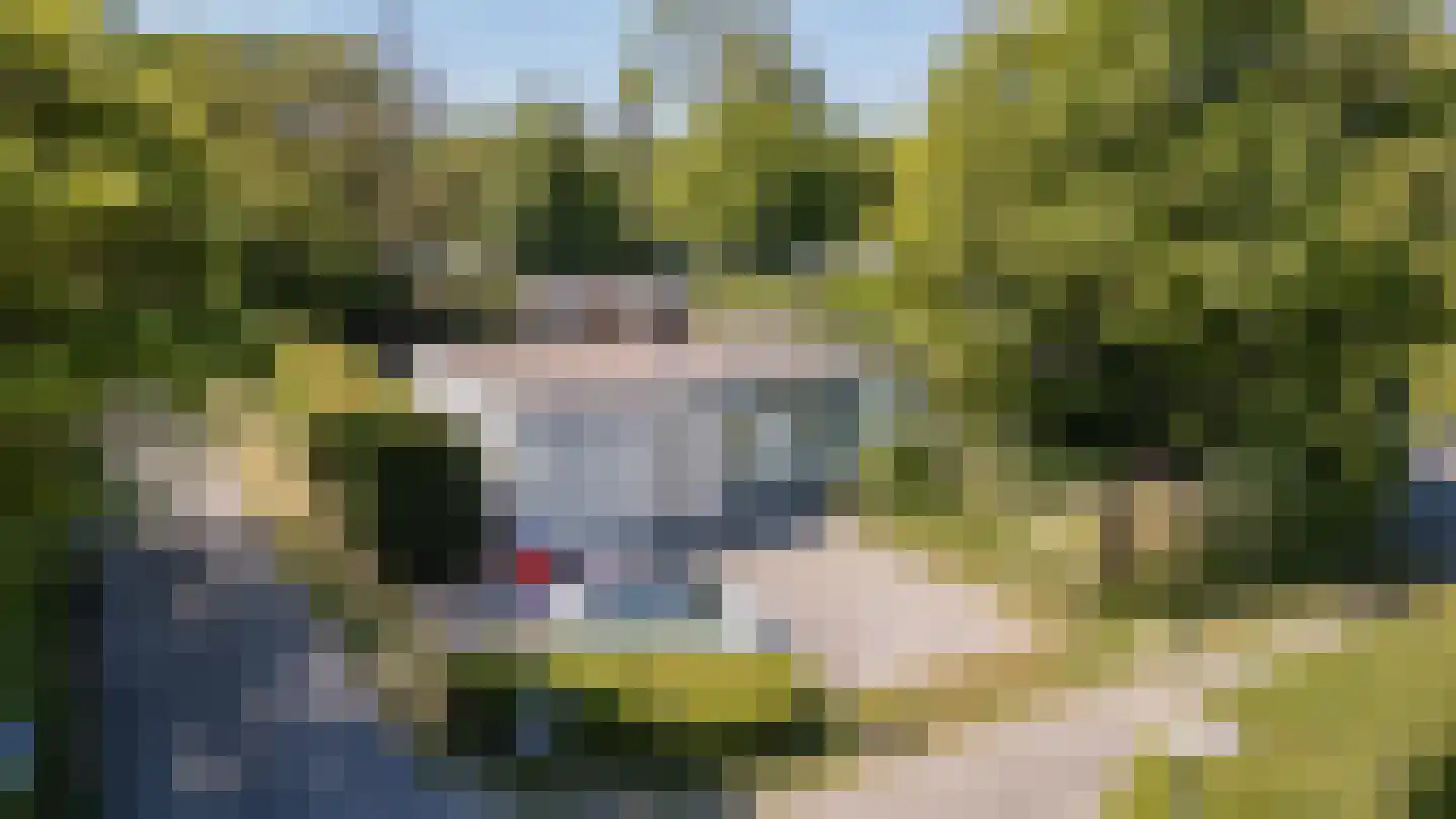 Leeuwerikenlaan 14 Kamperland thumbnail 12