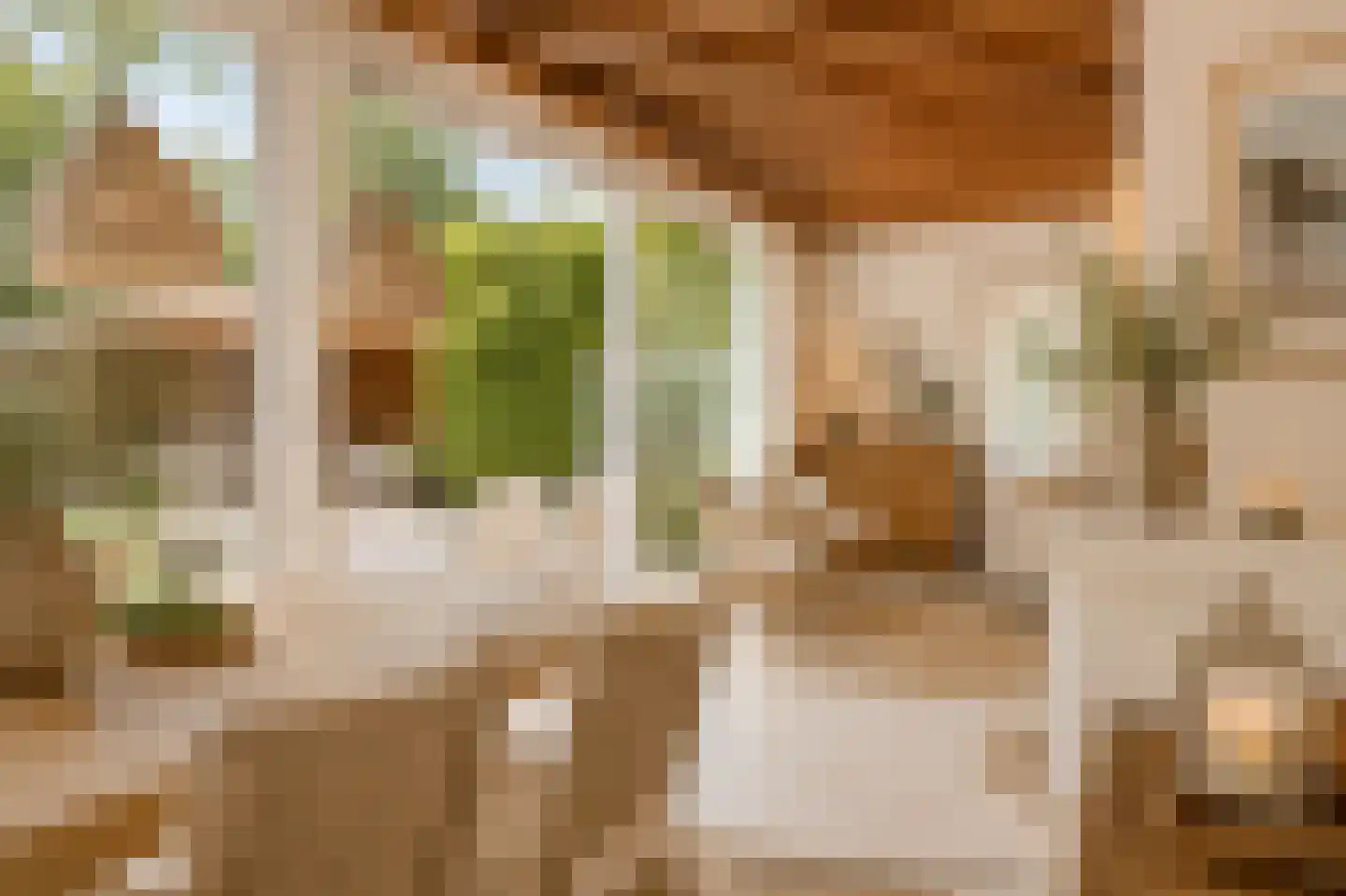 Leeuwerikenlaan 14 Kamperland thumbnail 13