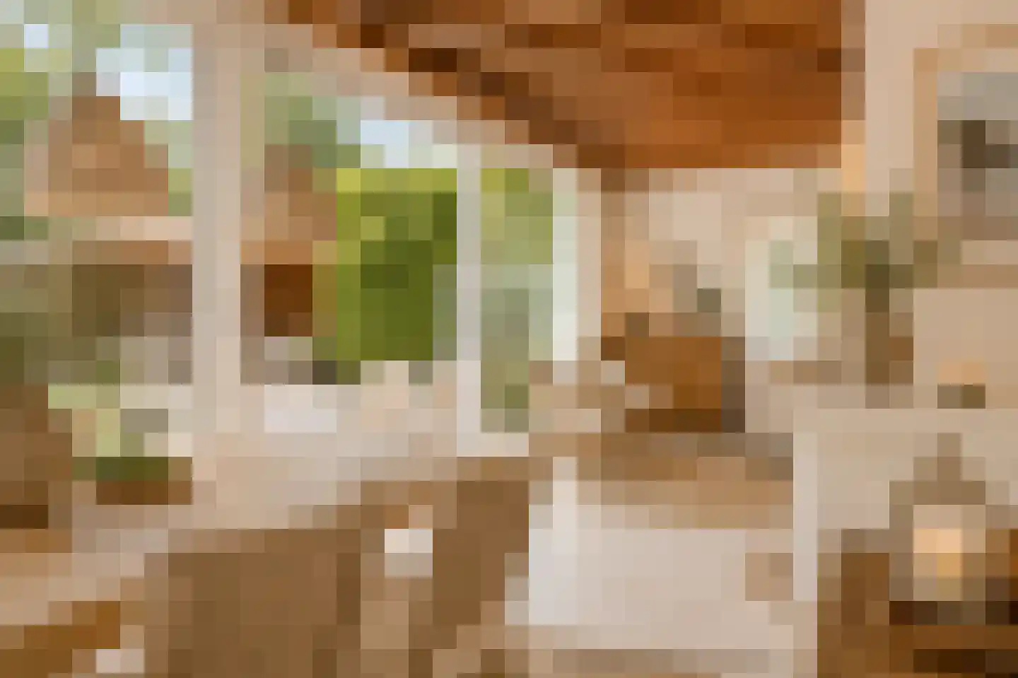 Leeuwerikenlaan 14 Kamperland thumbnail 14