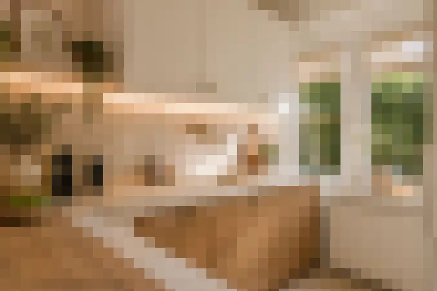 Leeuwerikenlaan 14 Kamperland thumbnail 15