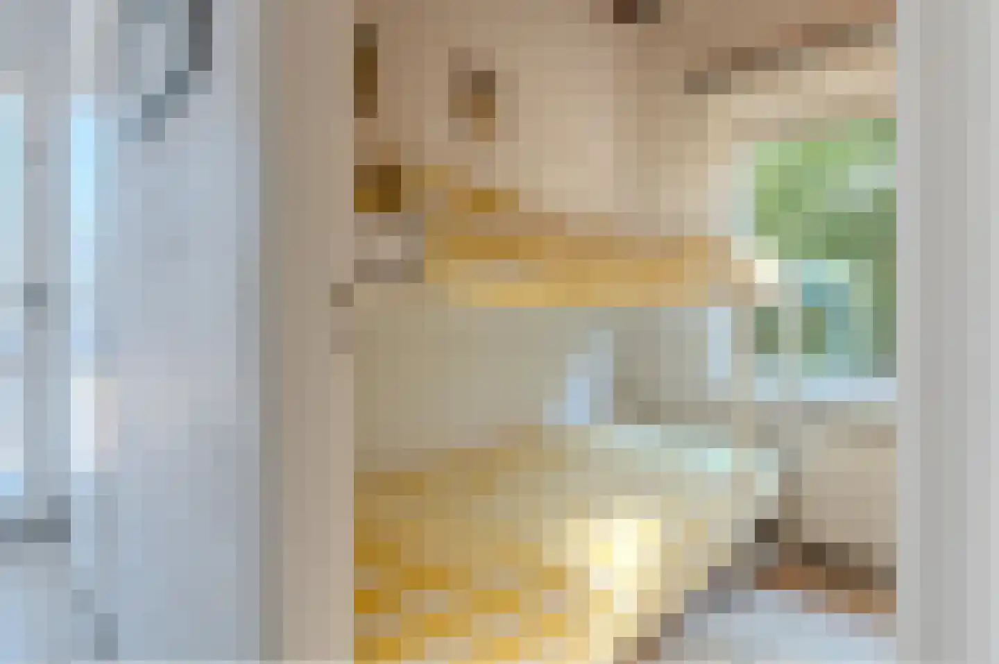 Leeuwerikenlaan 14 Kamperland thumbnail 17