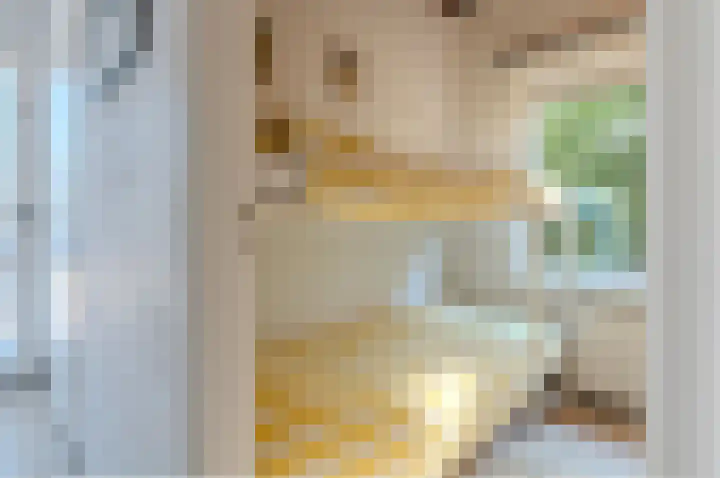Leeuwerikenlaan 14 Kamperland thumbnail 21