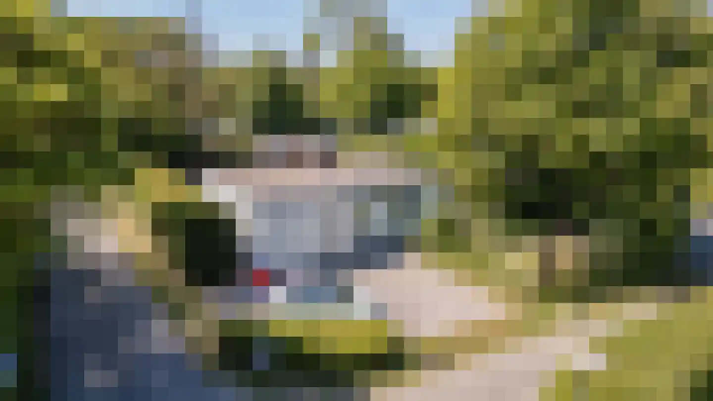 Leeuwerikenlaan 14 Kamperland thumbnail 22