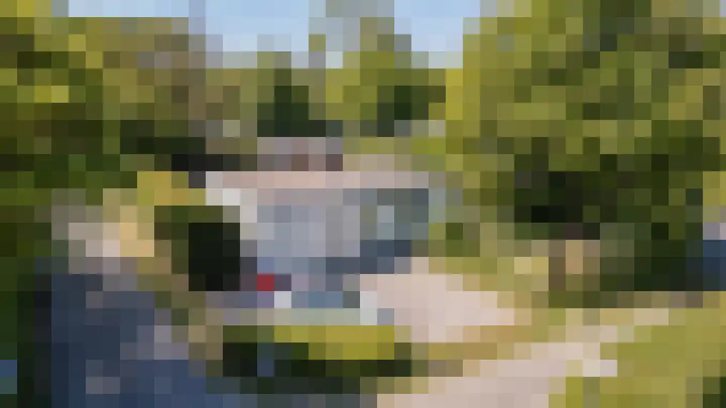 Leeuwerikenlaan 14 Kamperland thumbnail 23