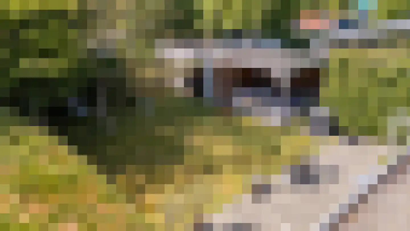 Leeuwerikenlaan 14 Kamperland thumbnail 24