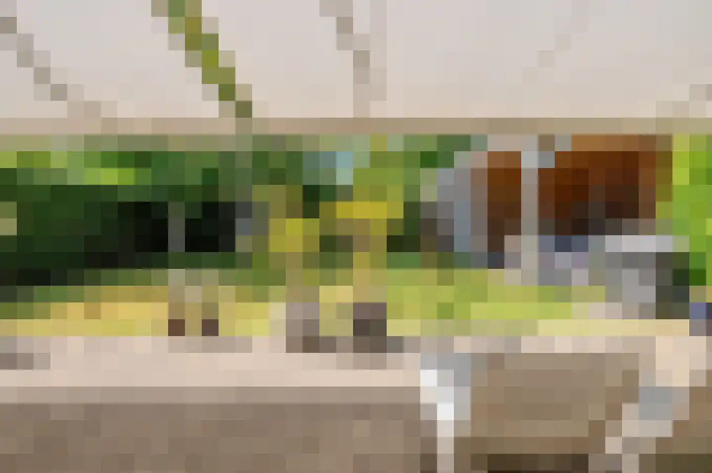 Leeuwerikenlaan 14 Kamperland thumbnail 25