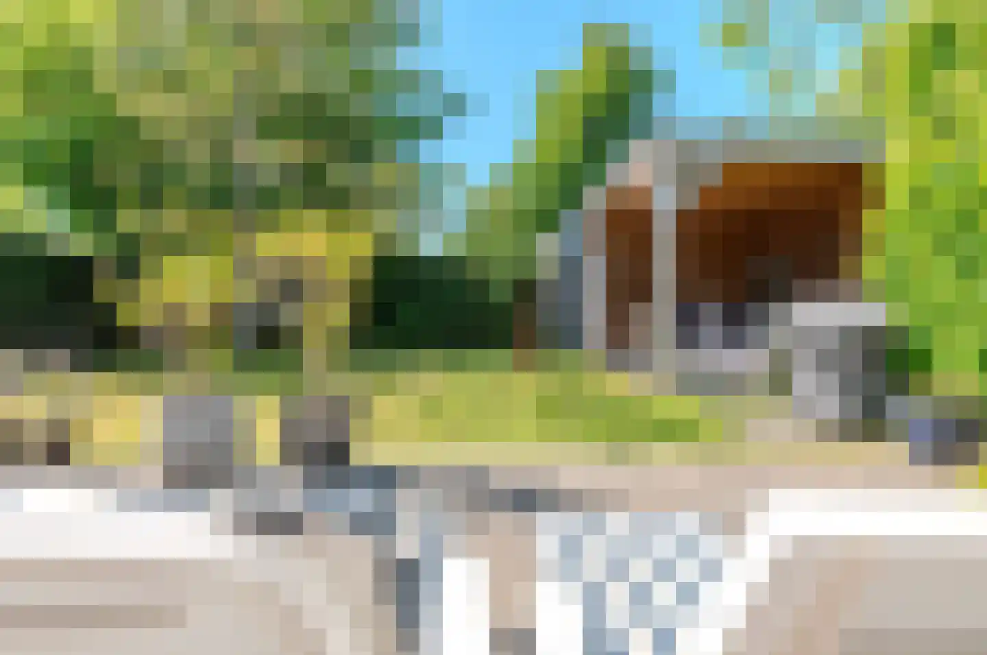 Leeuwerikenlaan 14 Kamperland thumbnail 26