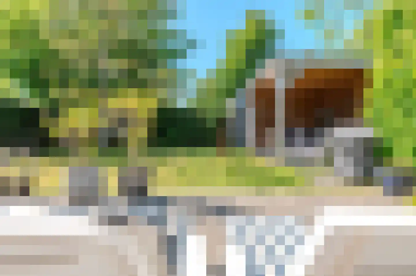 Leeuwerikenlaan 14 Kamperland thumbnail 26