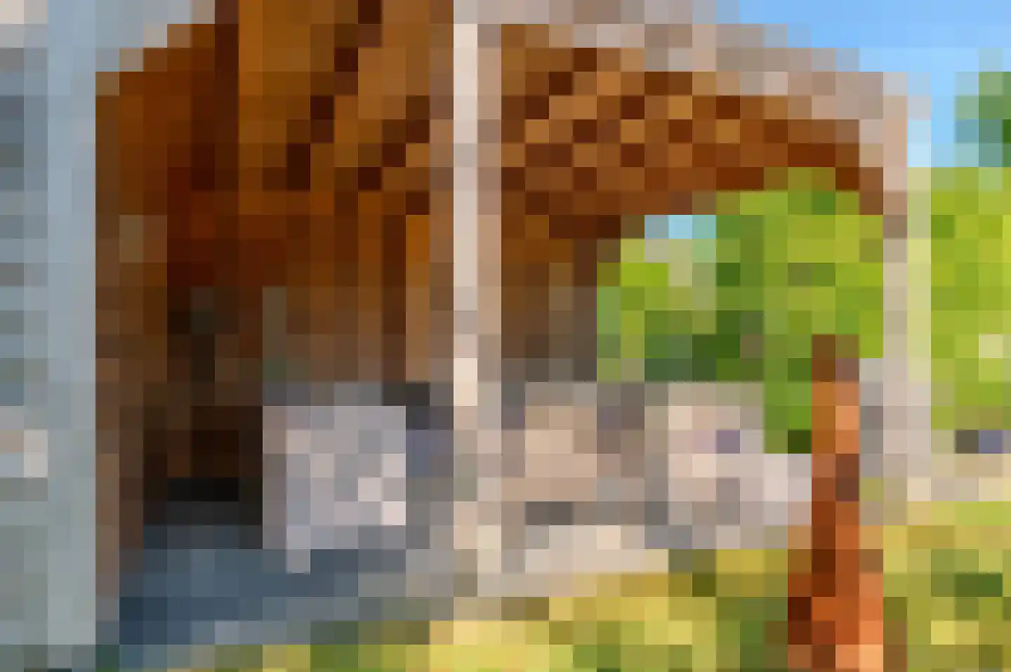 Leeuwerikenlaan 14 Kamperland thumbnail 27