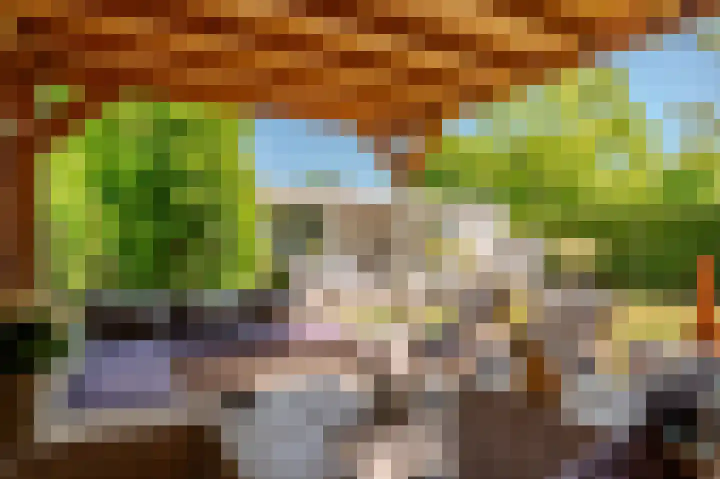 Leeuwerikenlaan 14 Kamperland thumbnail 28