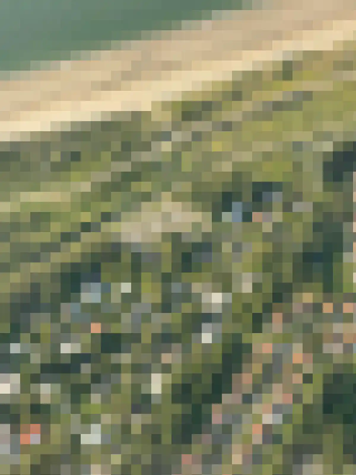 Leeuwerikenlaan 14 Kamperland thumbnail 28